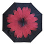 Tercera imagen para búsqueda de sombrilla paraguas reversible