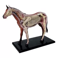 Anatomia Do Cavalo- 4d Master Med