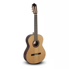 Guitarra Clasica Española Paco Castillo 203 + Case