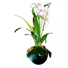 Arranjo Orquídeas Artificiais Vaso De Vidro Preto Espelhado