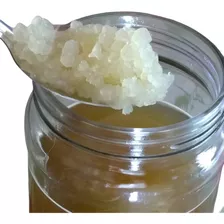 Kefir De Água + Pote De Vidro E 30gr De Açúcar E Manual