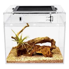 Reptile Growth Mini Terrario De Reptiles, Tanque De Reptiles