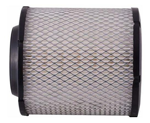 Filtro De Aire - Pg Air Filter Pa5306 | Fits ******* Chrysle Foto 4