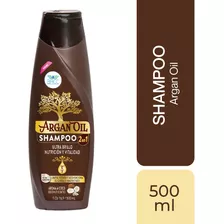 Shampoo Aceite Argán 2 En 1 Tratamiento Repara Sin Sal 500ml