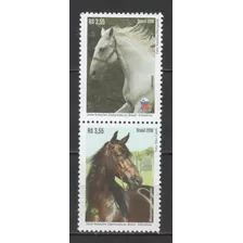  Selos Novos C-3592-93 - Cavalos - A