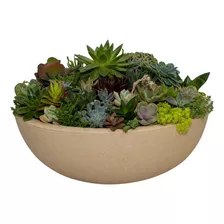 Bacia Suculenta Vaso Flor Planta Jardim Polietileno Cd11 Cor Areia