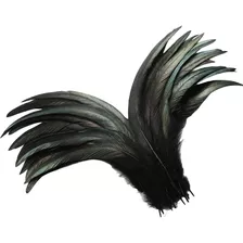 Plumas De Gallo Naturales En Negro Con 30 Plumas 25-30cm