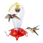 Segunda imagen para búsqueda de bebedero colibri