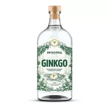 Gin Patagonia Ginko En Recoleta