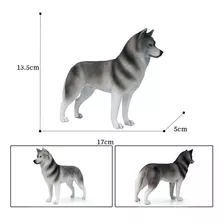 Realista Cão Estimação Modelo Flutuante Brinquedo-grey Husky