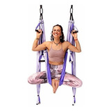 Yogabody Yoga Trapeze Pro - Yoga Inversion Swing Con Serie