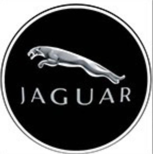 Bisel Para Placa Jaguar Cromada No.10948