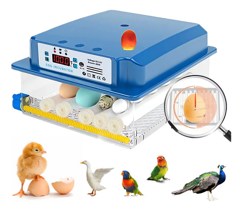 FurryTale encubadora,incubadoras huevo,incubadora automatica