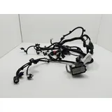 Chicote Do Motor Injeção Ford Ecosport 1.5 2020 Thumb 4