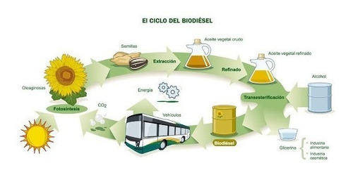 Metanol 99% De Pureza Garrafa 20 Lts  Para Preparar Biodiese Foto 4