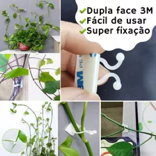 Gancho Autoadesivo Parede Fixação Planta Trepadeira Kit C 10