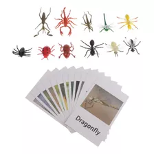 Montessori Animal Match - Figuras De Insectos En Miniatura