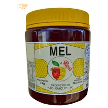 Mel Abelha Silvestre Verdadeiro Florada Macieira Pote 1kg