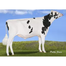 Semen Bovino Holstein - Carter Ocd