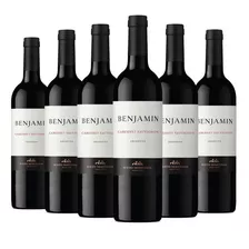 Benjamin Nieto Senetiner Cabernet Senetier 750ml Caja X6 6u