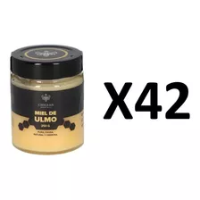 Miel De Ulmo Orgánica 250 G Chilean Honey & Co 42 Unidades