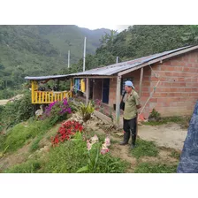 Venta De Finca Cafetera 