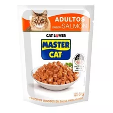 20 Sachet Master Cat Salmon 85 Gr / Catdogshop