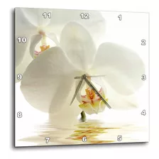 Reloj De Pared Con Reflejo De Agua Y Flor De Orquídea Blanca