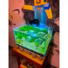 Iluminador Acuario Luz 10w Para Plantados