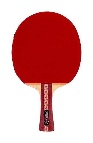 Paleta De Ping Pong Dhs A4002 Negra Y Roja Fl (cóncavo)