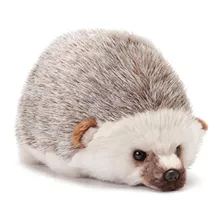 Demdaco Huddled Small Hedgehog Wispy Chestnut - Animal De Pe
