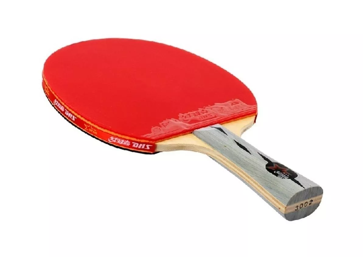 Raquete De Ping Pong Dhs 3002 Preta/vermelha Fl (côncavo)