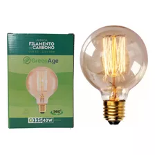 Lampada Filamento De Carbono G125 40w 220v E27 Retrô Vintage Decorativa Branco Quente - Green Age