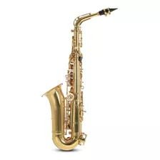 Pure Gewa Saxofón Alto En Mib Roy Benson As-202