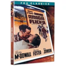 Dvd: Minha Amiga Flicka - Original Lacrado