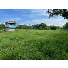 Finca Ganadera Y Agricola En Bayaguana 1050 Tareas Con Piscina Y Casa 1km Y Medio De La Via Principal