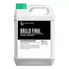 Brillo Final Seiq X 5 Litros