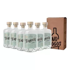Gin Terrier Spicy - Caja X6 - Oferta Vinologos 