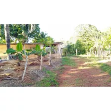 Finca En Sabana De La Mar 676 Tareas