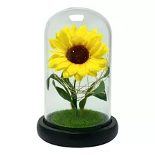 Girasol Art Cupula De Vidrio Lampara Led Decoracion Mujer