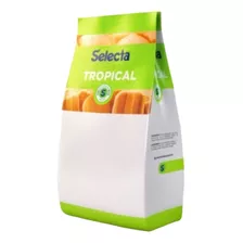 Base Para Sorvete Tropical Limão Taiti Selecta Pacote 1kg