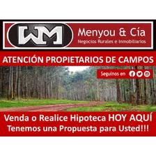 Venta Compra De Campo De 200has A 2000has Forestal Ganadero