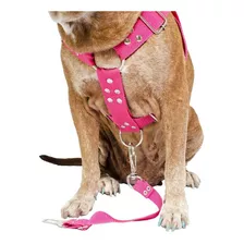 Peitoral Coleira Com Regulagem Guia Para Cães Reforçada Cor Pink Tamanho Da Coleira Grande
