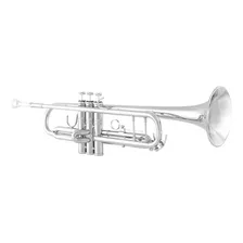 Trompete Bb Prateado Vincent Bach Btr301s