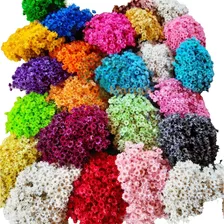 Sempre Viva Florzinha Colorida Desidratada 1 Buquê Com 900