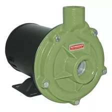 Motobomba Centrífuga Schneider Bc-92s 1c 1cv Mono 127/220v Cor Verde Fase Elétrica Monofásica Frequência 60 Hz 127v/220v