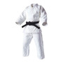 Primera imagen para búsqueda de jiu jitsu