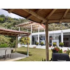 Vendo Finca / Aguacatera Hass Con Hermosa Casa En La Vereda Roblal En Sonsón - Negociable