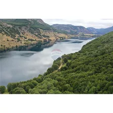 Parcela Lago Monreal - En Venta - Aysen