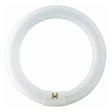 Tubo Fluorescente Circular 32w Luz Fría Osram